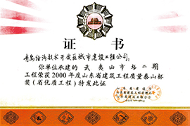 2000年度山东省建筑工程质量泰山杯奖（省优质工程）