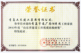 2013年度“山东省建设工程优质结构杯奖”