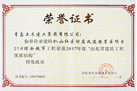 2017年度“山东省建筑工程优质结构”