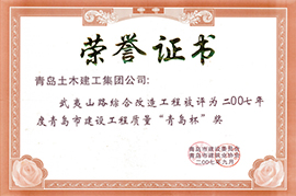 2007年度青岛市建设工程质量“青岛杯”奖
